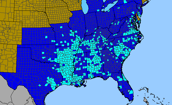 The range of Ranunculus sardous